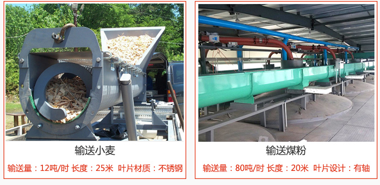 絞龍螺旋輸送機輸送小麥輸送量在12噸/時，長度為25米，葉片采用不銹鋼材質(zhì)；輸送水泥輸送量在80噸/時，長度為20米，葉片設(shè)計為有軸。