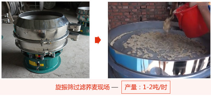 旋振篩過濾蕎麥現(xiàn)場，產(chǎn)量可達2噸每小時。